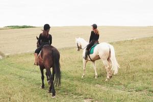 Two young pretty girls riding a horses on a field. They loves animals andhorseback riding photo