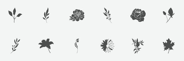 floral set of silhouettes of plants and flowers vector