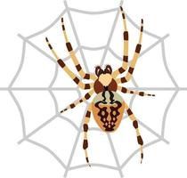 Spider and Web Animal Vector