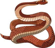 Brown Snake Reptile Animal Vector