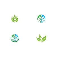 Logos of green Tree leaf ecology vector