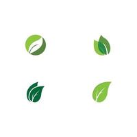 logotipos de la ecología de la hoja del árbol verde vector