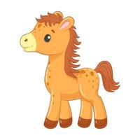 Cute baby horse in cartoon style. Vector illustration.