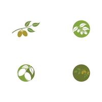 olive icon vector illustration