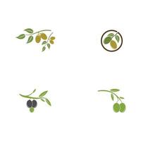 olive icon vector illustration