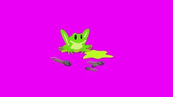 Cartoon Green Screen - Animals - Frog jumping with Tadpole 2D Animation video