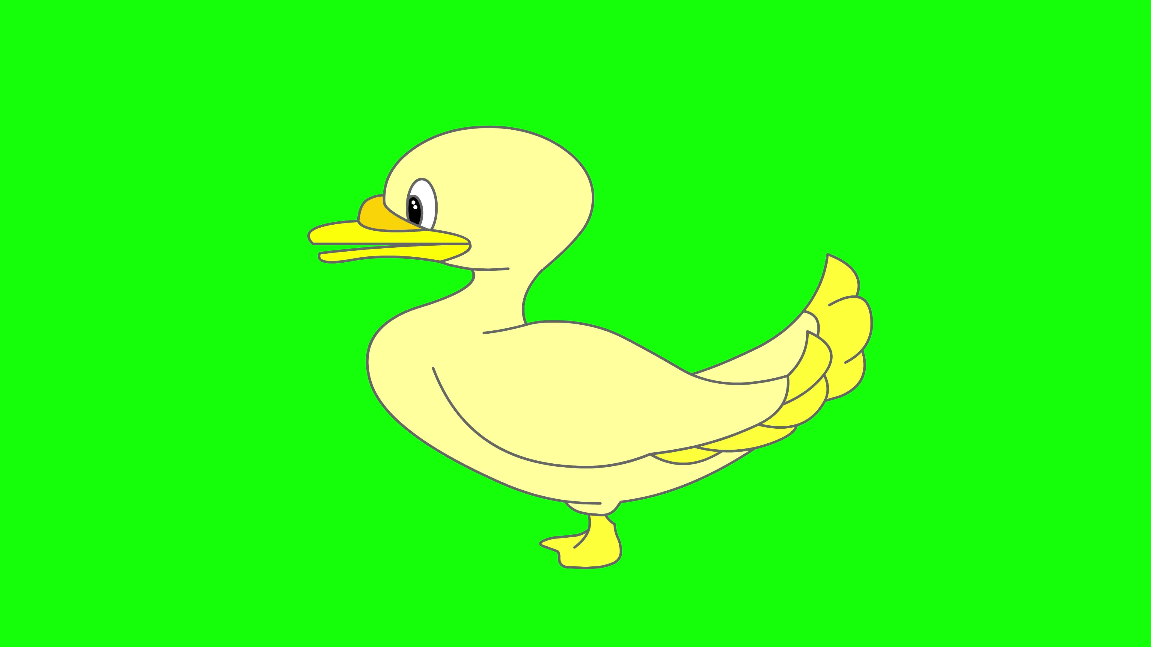 Cartoon Green Screen - Animals - Duck 2D Animation 3675608 Stock Video at  Vecteezy