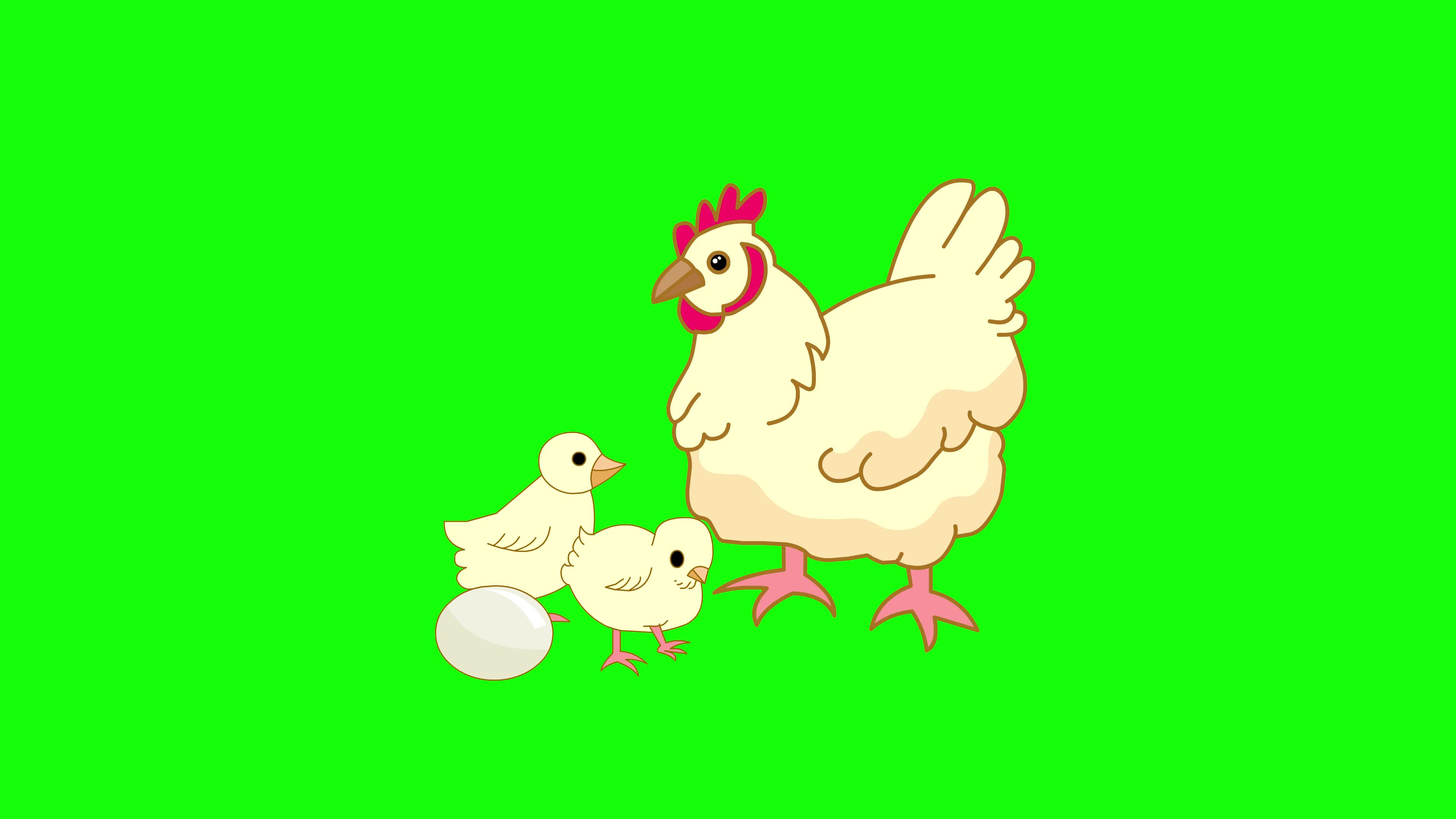 egg cartoon video egg cartoon video