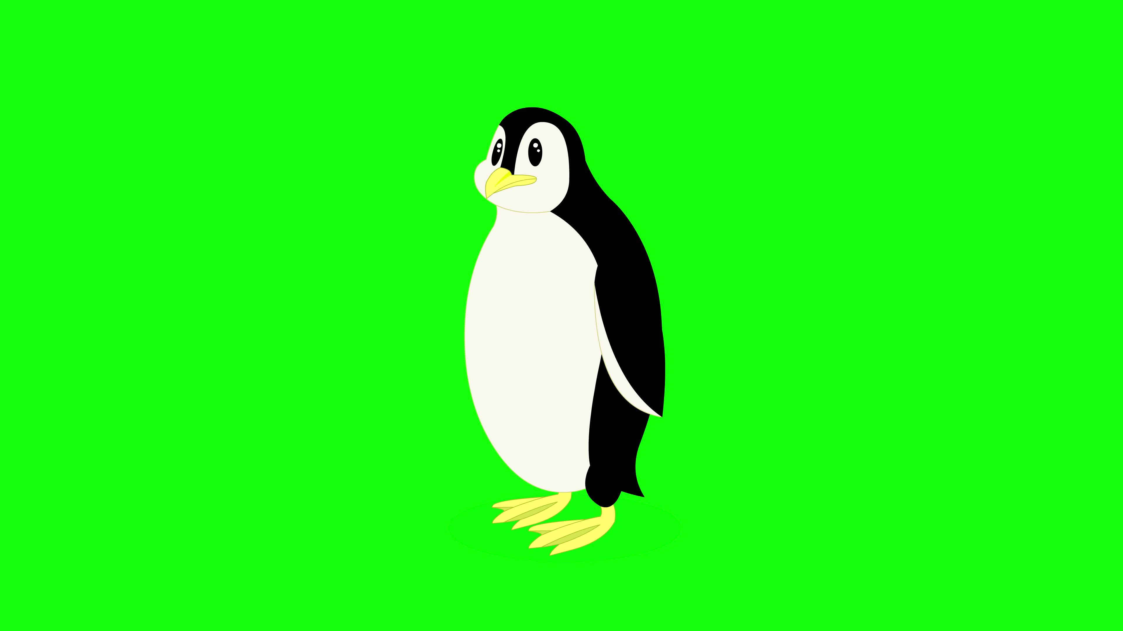 Cartoon Green Screen - Animals - Penguin 3675613 Stock Video at Vecteezy