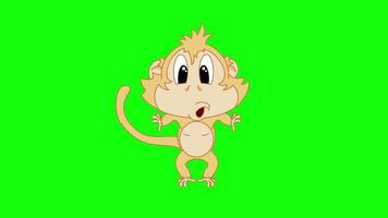 Cartoon Green Screen - Animals - Cute Monkey video