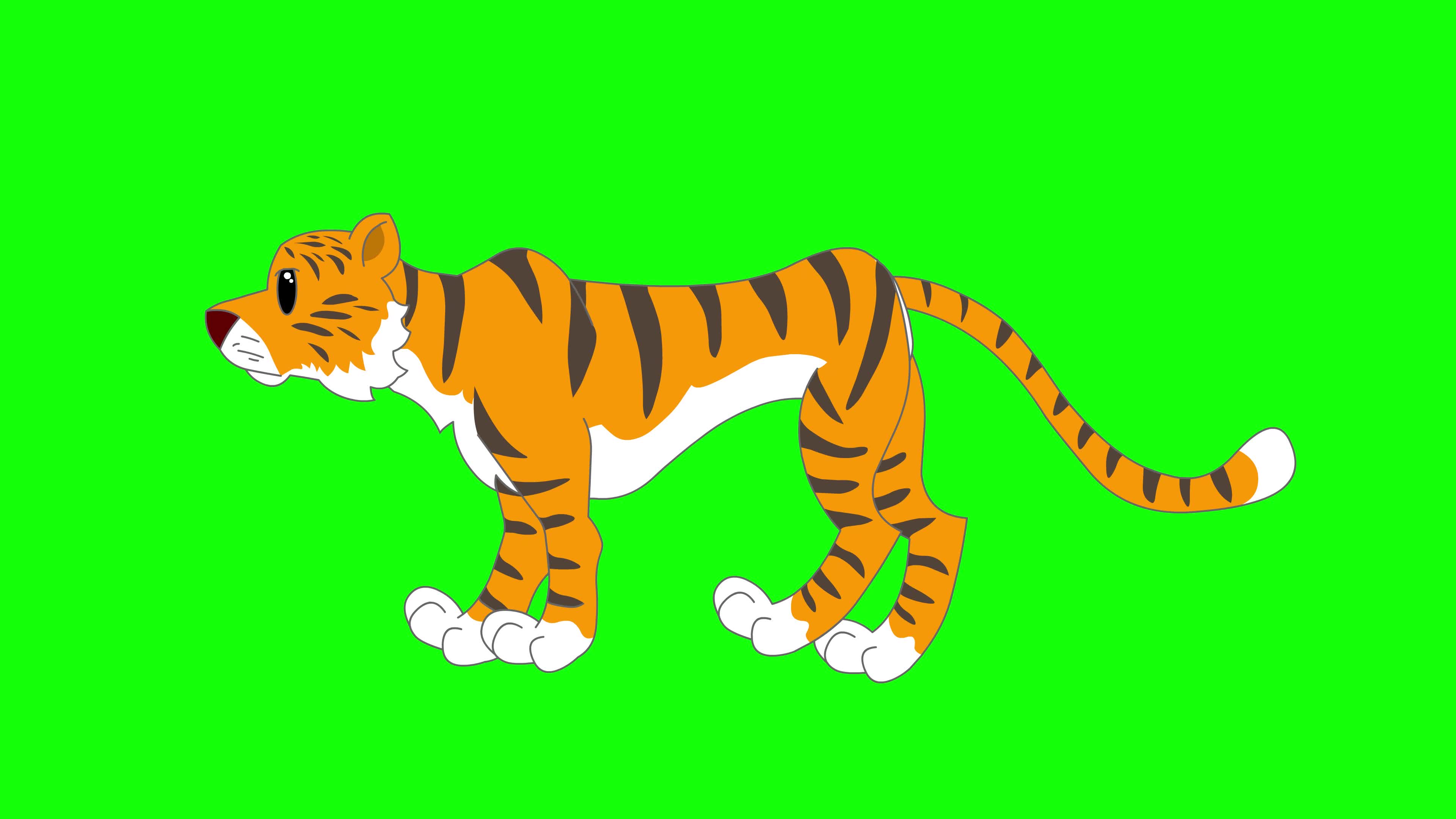 Tiger Cartoon Stock Video Footage for Free Download