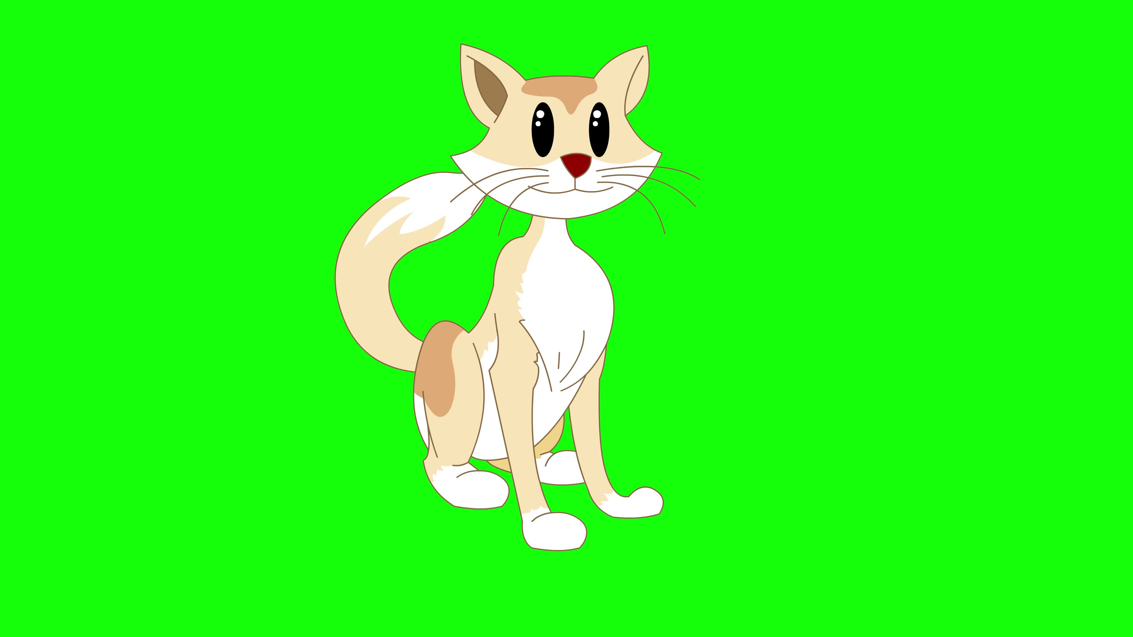 Green Screen Cartoon Cat Stock Video Footage for Free Download