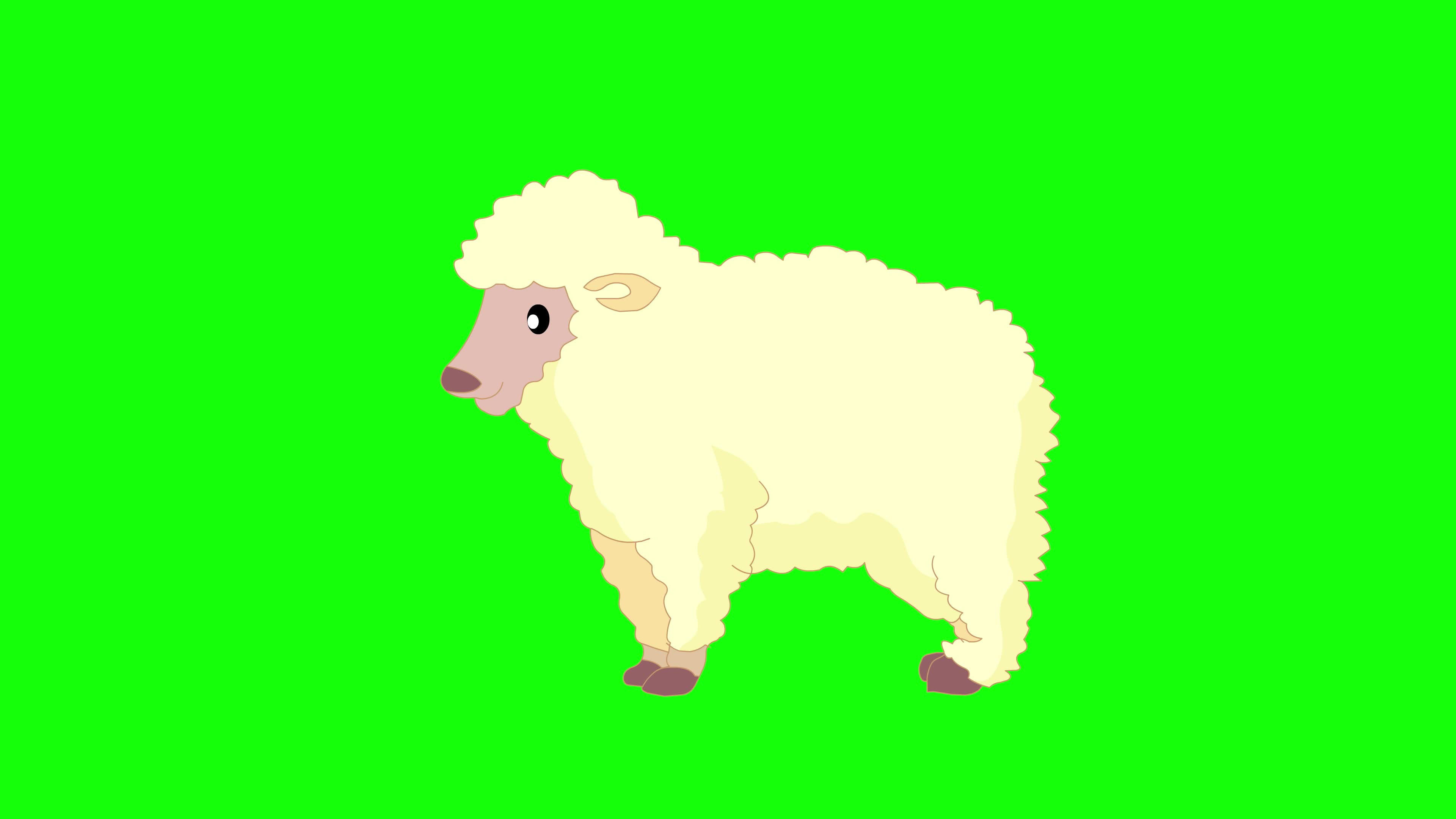 Cartoon Sheep Stock Video Footage for Free Download