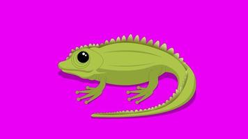 tecknad grön skärm - djur - reptil kameleont