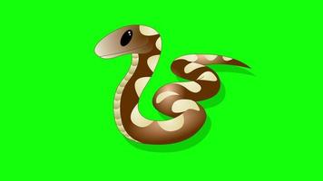 pantalla verde de dibujos animados - animales - reptil serpiente video