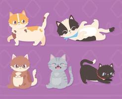 lindas mascotas gato animales domésticos sobre fondo púrpura vector