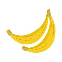 fruta de plátano fresca vector