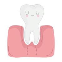 cute tooth in gum vector