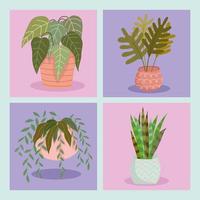 set of decorative houseplant vector