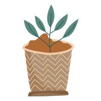 plant with soil in pot vector