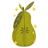 organic pear fruit vector