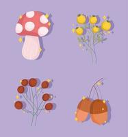 autumn acorn and fungus vector