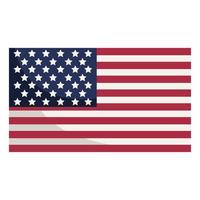 bandera de estados unidos de america vector