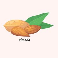nuts seeds flat design vector illustration