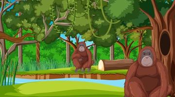 Orangutan in forest or rainforest scene with many trees vector