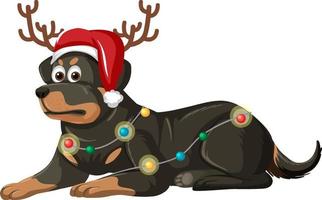 perro rottweiler con personaje de dibujos animados de sombrero de navidad vector