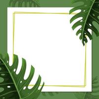 Square frame with tropical green leaves vector