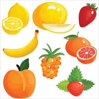 Set of colorful cartoon fruit icons vector