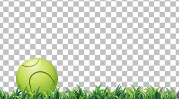 Pelota de tenis en el campo de hierba sobre fondo de cuadrícula