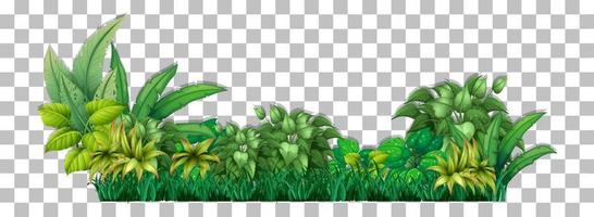 Tropical plant on grid background vector