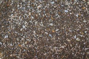 Tiny and large sea shell and rocks texture background photo
