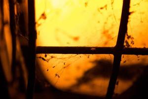 Old Old lamp. It has spider webs and dust .dark and mysterious atmosphere .Extreme close up photo