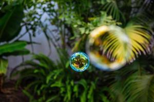 Soap bubbles fly in the garden photo