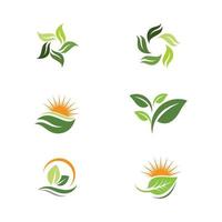 Green Tree leaf ecology nature element vector