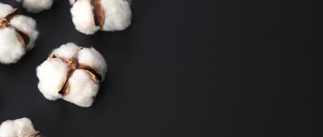 Cotton flowers isolated on black background. photo