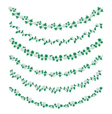 Hand Drawn Borders Elements Set Collection, floral Swirl ornament Vector