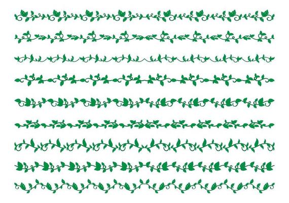Hand Drawn Borders Elements Set Collection, floral Swirl ornament Vector