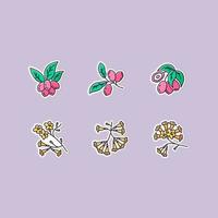 Brazilian flora printable patches. Miracle fruit. RGB color stickers, pins and badges set. Ipe tree. Plumeria and jojoba. South american plant. Botany. Tropical blossom. Vector isolated illustrations