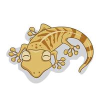 Gecko illustrations Cartoon Isolated vector