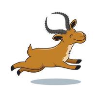 Impala Cartoon Mountain Goat Illustrations vector