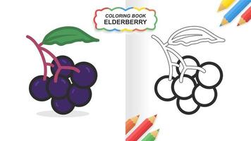 Elderberry hand drawn coloring book for learning. Flat color ready to print vector