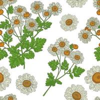 Medical Feverfew Branch, hand drawn seamless pattern a retro style vector