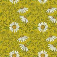 Medical Chamomile Branch and Flowers hand drawn green seamless pattern in a retro style vector