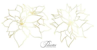 Poinsettia inflorescence in an elegant golden line. Elements for Christmas and New Year holidays decorations. vector