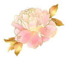 Cream pink peony flower with colden line in an Asian gentle color palette. Botanical decor for weddings and romantic celebrations, for the design of cosmetics or perfume vector