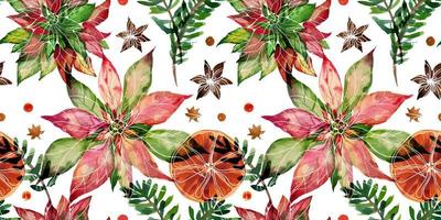 Christmas traced watercolor floral seamless pattern on white background. Poinsettia and oranges and winter berries. Decor for Christmas and New Year textiles and wrapping paper and greeting cards vector